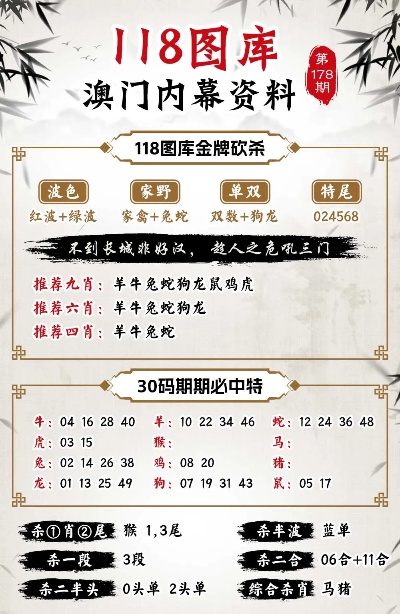 新澳最新版资料心水,诠释分析定义_娱乐版86.778