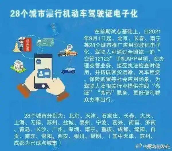 大众网澳门大众网免费,战略性实施方案优化_W82.42